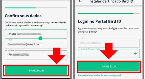 Renovação Bird ID em até 5 minutos - Fácil e Rápido